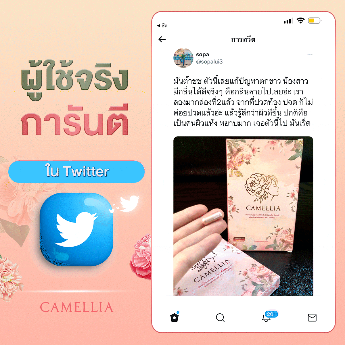 camelliaperfectfit2 Camellia